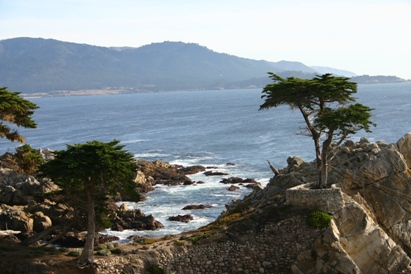 Pebble Beach Lone Cypress